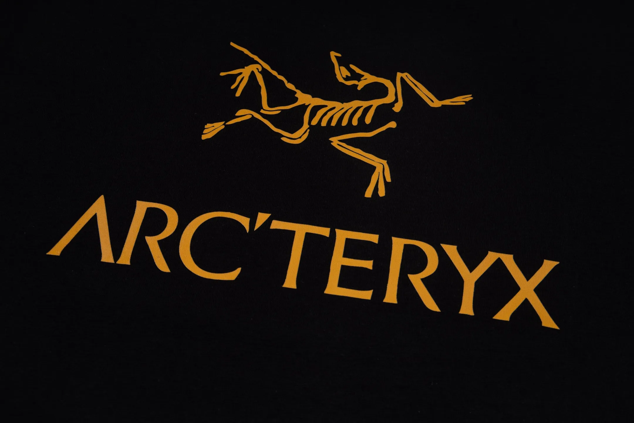 ARC'TERYX Same Style Same Style Series Sizes：S-XXL :Black White